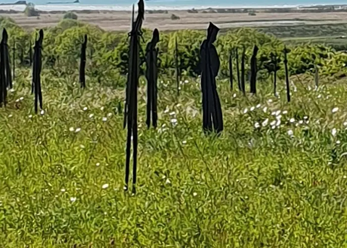 Maison Pearson-juno Graye-sur-Mer